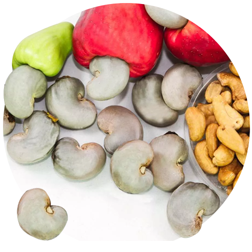 raw cashew