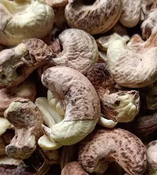 Borma Cashew Kernels