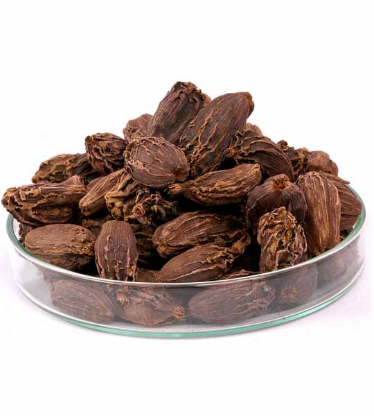 Cardamom Black Big Size